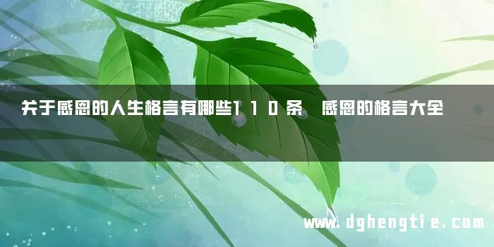 关于感恩的人生格言有哪些110条 感恩的格言大全